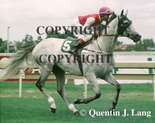 Subzero (40384 bytes)