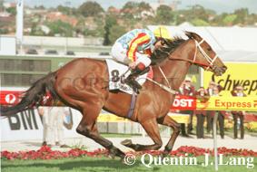 sunline99.jpg (49635 bytes)