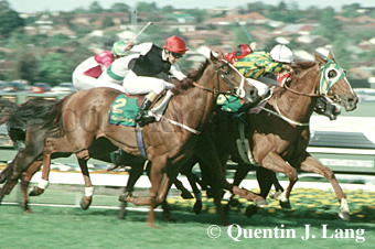 superimpose.jpg (59844 bytes)