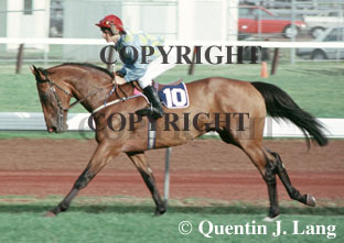 tawriffic.jpg (42045 bytes)