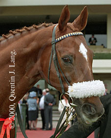 Vintage Crop (20856 bytes)