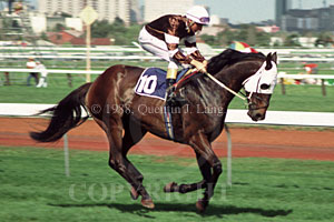 vorogue.jpg (22466 bytes)