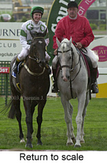 Return to scale (24208 bytes)