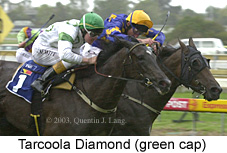 Tarcoola Diamond (23267 bytes)