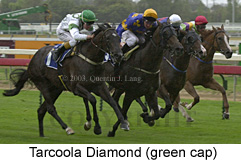 Tarcoola Diamond (24751 bytes)