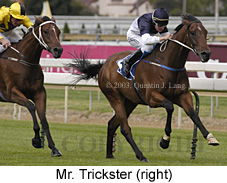 Mr. Trickster (27307 bytes)