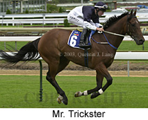 Mr. Trickster (23465 bytes)