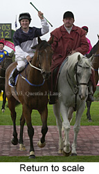 Return to scale (22264 bytes)