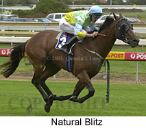 Natural Blitz (25331 bytes)