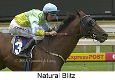 Natural Blitz (20726 bytes)