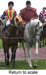 Return to scale (24102 bytes)