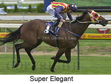 Super Elegant (23405 bytes)