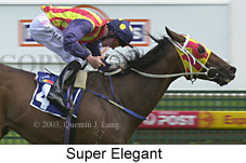 Super Elegant (21006 bytes)