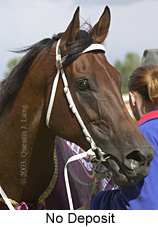 No Deposit (19503 bytes)