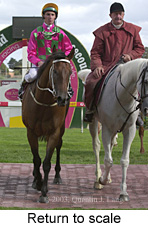 Return to scale (23013 bytes)