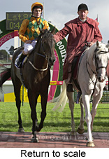 Return to scale (13923 bytes)