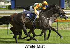 White Mist (13547 bytes)