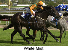 White Mist (13928 bytes)