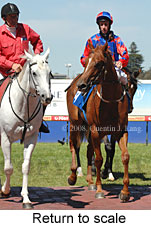 Return to scale (15361 bytes)