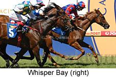 Whisper Bay (14872 bytes)