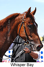 Whisper Bay (14872 bytes)