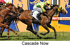 Cascade Now (14872 bytes)