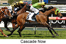 Cascade Now (14872 bytes)