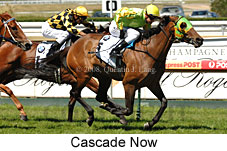Cascade Now (14872 bytes)