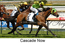 Cascade Now (14872 bytes)