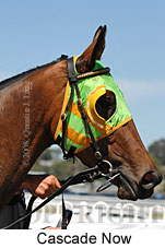 Cascade Now (14872 bytes)