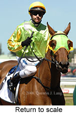 Return to scale (15361 bytes)