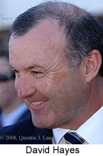 David Hayes (14872 bytes)