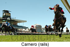 Carnero (14872 bytes)