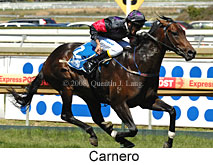 Carnero (14872 bytes)