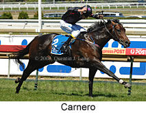 Carnero (14872 bytes)