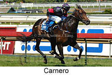 Carnero (14872 bytes)