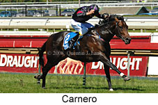 Carnero (14872 bytes)