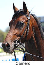 Carnero (14872 bytes)