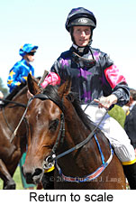 Return to scale (15361 bytes)