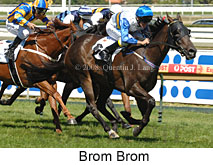 Brom Brom (19622 bytes)