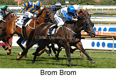 Brom Brom (14872 bytes)