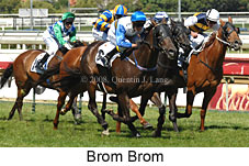 Brom Brom (14872 bytes)