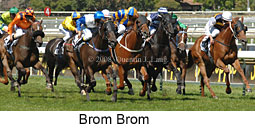 Brom Brom (14872 bytes)