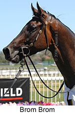 Brom Brom (14872 bytes)