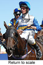 Return to scale (15361 bytes)