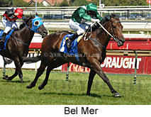 Bel Mer (14872 bytes)