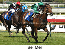 Bel Mer (14872 bytes)