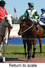 Return to scale (15361 bytes)