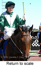 Return to scale (15361 bytes)