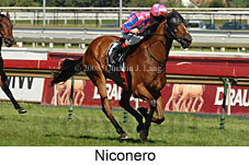 Niconero (14872 bytes)